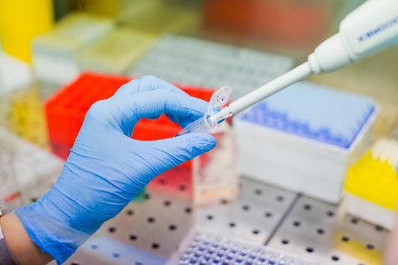 实验室培养细胞培养的科学家照片