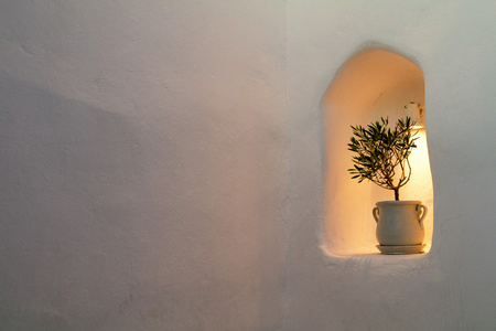 小棵橄榄树在花盆成房子的石头墙。自由的地方，为您的设计的