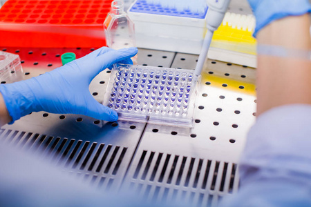 实验室培养细胞培养的科学家照片