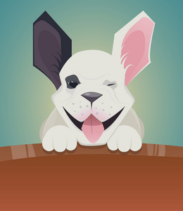 可爱的卡通狗法国斗牛犬照片