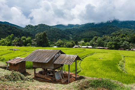 小屋在高地村庄与梯子稻田图片