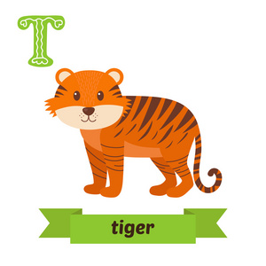 老虎。T 的信。可爱的儿童动物字母向量中。有趣