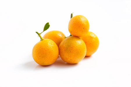 金柑橙放置在  背景
