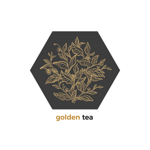 艺术线条的自然设计.象征精美的茶树,灌木,树枝,叶子,花朵的卡片.