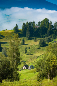 地道的在一个绿色的草地上的房子。乌克兰喀尔巴阡山, 欧洲