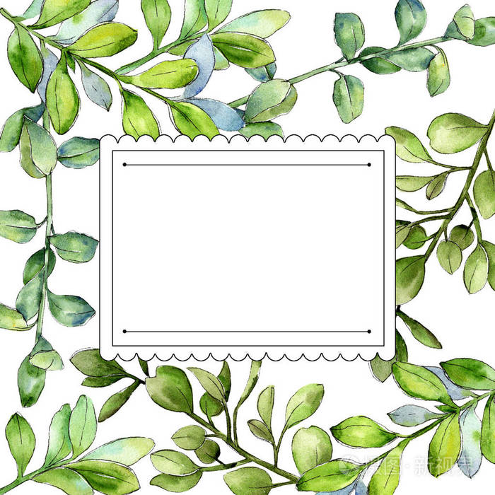 背景,纹理,包装图案,框架或边框的水彩画叶