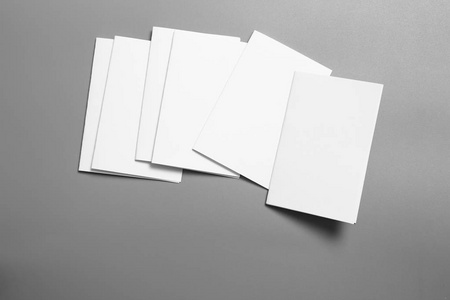 空白肖像模型纸。小册子杂志孤立的灰色, 多变的背景白皮书孤立的灰色