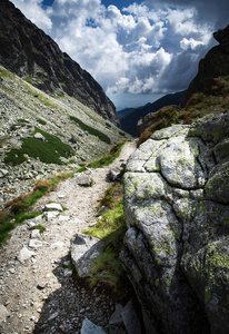 自然风景背景石头路线往谷