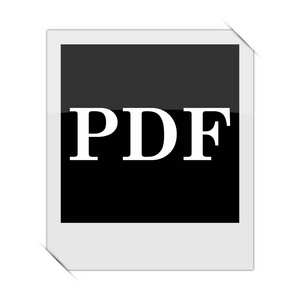 pdf 图标