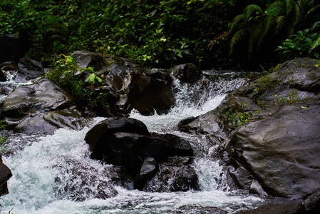 在山石之间的水流。秀丽的山小河小河以快速的流动的水和岩石。水流在美丽的风景里。风景如画的急流在河上