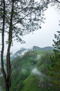 印尼雨季岛上苏门答腊全景