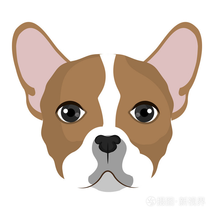 狗卡通脸,矢量图