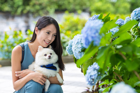 女人与美拉尼亚狗在绣球花花园