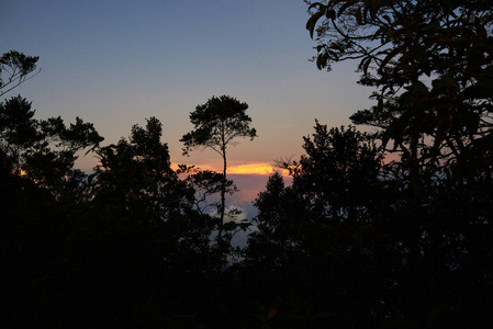 风景照片, 早晨的美丽雾。夏天的日出。雾盖树在前景和卷曲的云彩山在背景。旅行和度假概念。风景秀丽