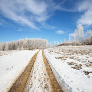 通过 snowcovered 俄罗斯农村冬季道路