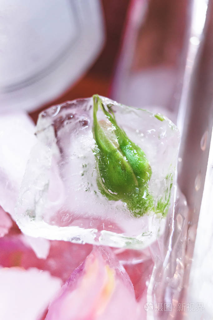 玫瑰花蕾冻结在冰块, 粉红色的冰和香槟背景