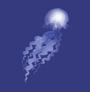 icolated 水母水彩插图。手工绘画 ar