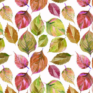 美丽可爱可爱美妙的图形鲜艳的花卉草药秋季橙绿色黄叶图案水彩手素描。完美的纺织品, 墙纸, 包装纸