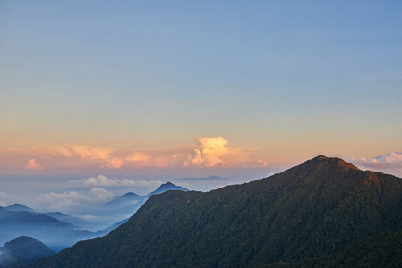 黎明时分山上美丽的夏日风景