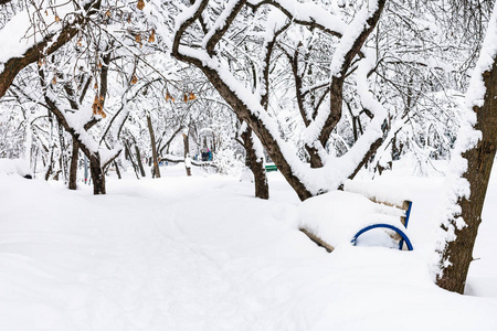 莫斯科冰雪覆盖的公共城市花园中的小径在冬季降雪