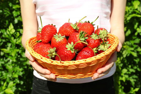 手里提着篮子的草莓
