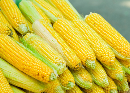 美食堆积自制成熟玉米堆积在一起照片