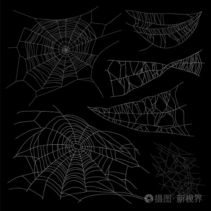 不同的蜘蛛网一套插画-正版商用图片0s2mbu-摄图新视界