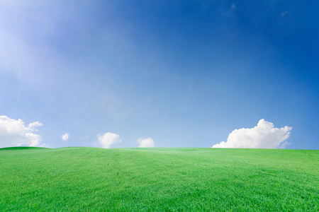 美丽景观领域草和天空润饰