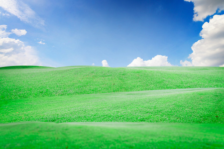 美丽景观领域草和天空润饰