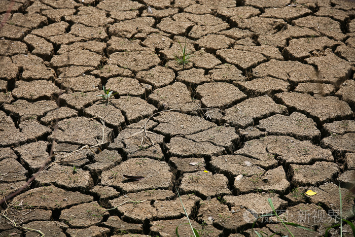 龟裂的大地背景和文本, 干地和热表面的夏季,地面空区热环境周围裂纹