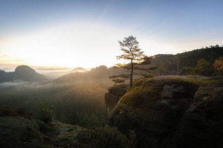 史诗般的日出光在一个台面的顶峰在德国萨克森瑞士国家公园。山的范围与光和雾。远足和攀登在 Elbe 砂岩山的美妙的山范围