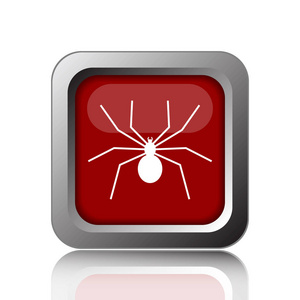 蜘蛛图标。白色背景上的互联网按钮