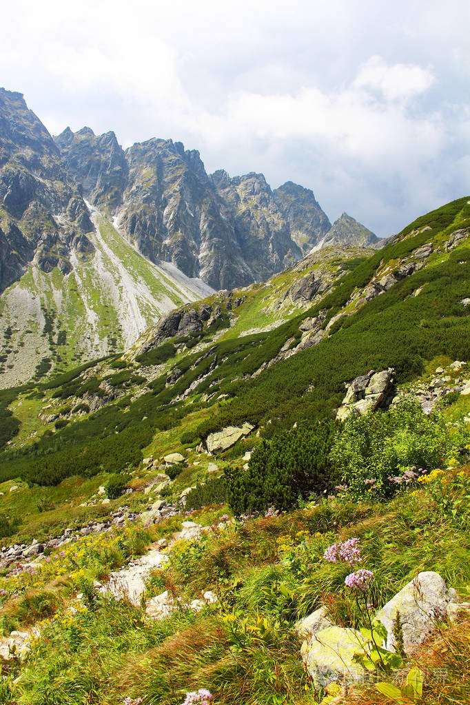 斯洛伐克高塔特拉山区 塔特拉 国家公园的美丽的风景