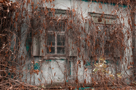 老村庄房子在俄国