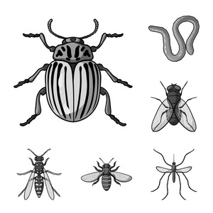 不同种类的昆虫单色图标集为设计集合。昆虫节肢动物矢量符号股票网页插图