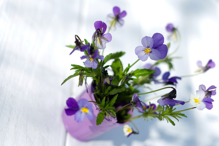 一张白色的桌子上的花瓶里的紫罗兰