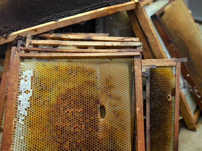 蜂窝框架, 新鲜蜂蜜, 特写室内拍摄