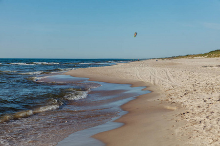 波罗的海沿岸和海滩上的 Curonian 吐口水