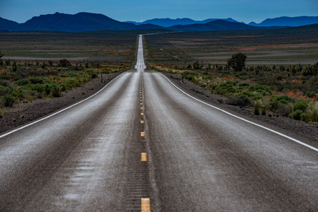 空路内华达 Hwy 95