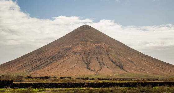 橄榄树林附近的火山