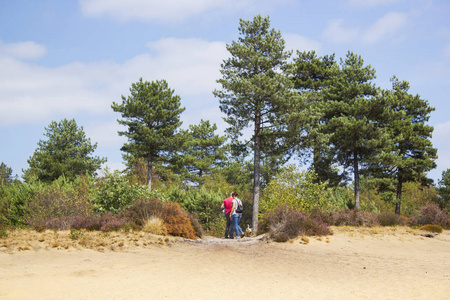 Heathland 在国家公园 Maasduinen 在荷兰夫妇与他们的狗