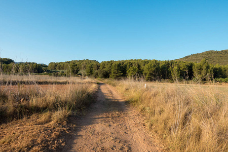 在西班牙 Castellon 的圣地亚哥和通过奥古斯塔的路