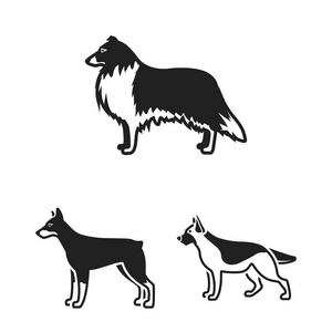 狗滋生黑色的图标集收集设计。狗宠物矢量符号股票网页插图