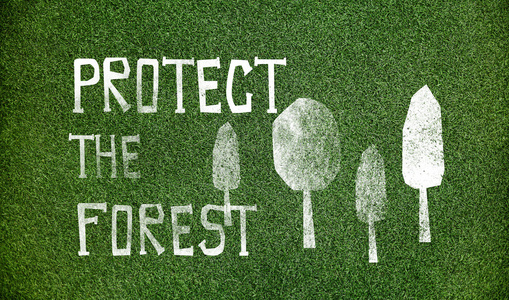 地球日和保护森林。