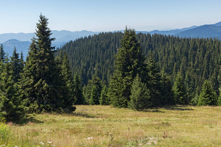 保加利亚斯莫梁地区 Pamporovo Snezhanka 峰和滑雪胜地附近的 Rhodope 山脉令人惊叹的夏季景观