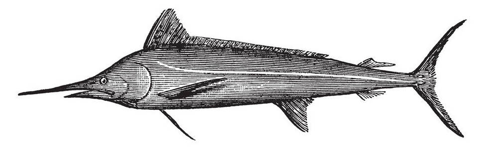 林线图片-林线素材-林线插画-摄图新视界