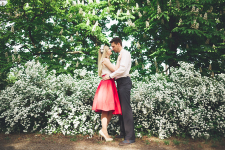 年轻美丽情侣接吻和拥抱树木用盛开的夏天公园附近