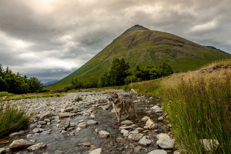 苏格兰高地 Mistic 景观风景在 Orchy 自然之桥旅游大英国