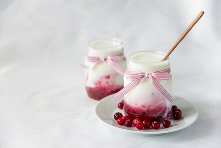 天然酸奶小红莓果酱在一个罐子里，在一张白纸