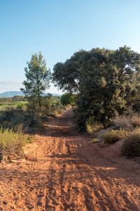 在西班牙 Castellon 的圣地亚哥和通过奥古斯塔的路